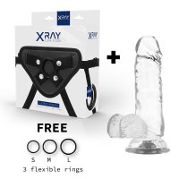 XRAY ARNÉS + DILDO REALISTA TRANSPARENTE 15.5CM X...