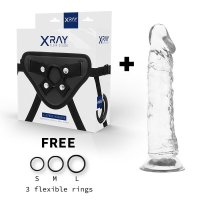 XRAY ARNES + DILDO TRANSPARENTE 21CM X 4CM