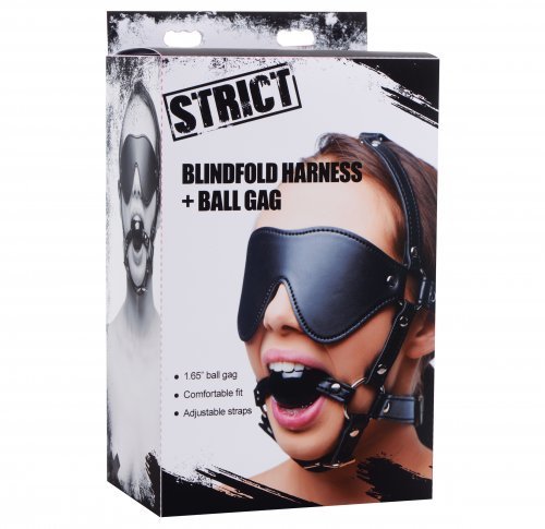 Blindfold Harness and Ball Gag