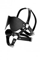 Blindfold Harness and Ball Gag