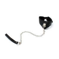 Basic Collar with leash